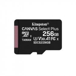 Memoria Kingston MicroSD 256 Gb (Clase 10)